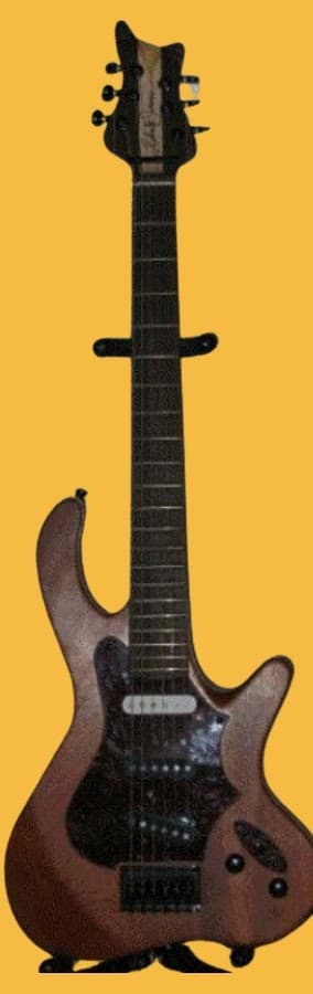 Custom electric guitar with a sculpted asymmetrical body, dark wood finish, and black hardware, mounted on a wall hanger.