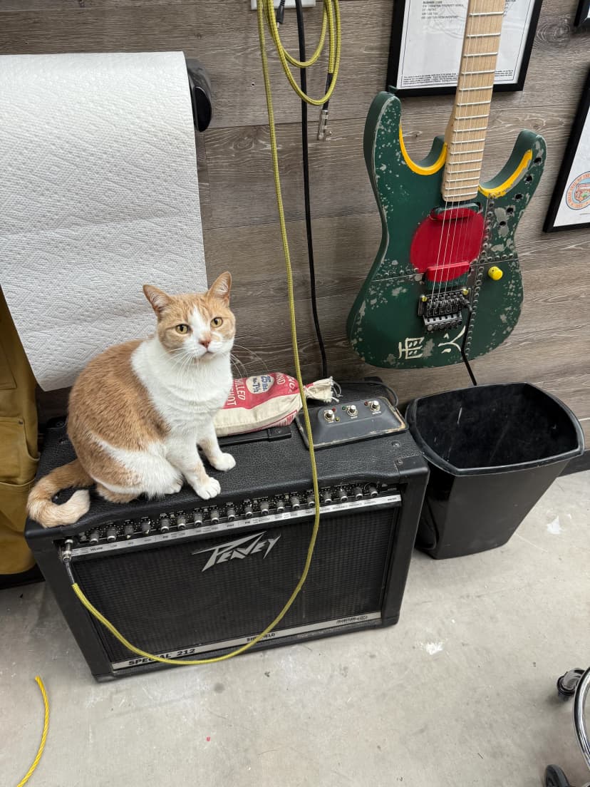 Lucy on a Peavey 212 next to Mr. Zero a George Lynch tribute guitar