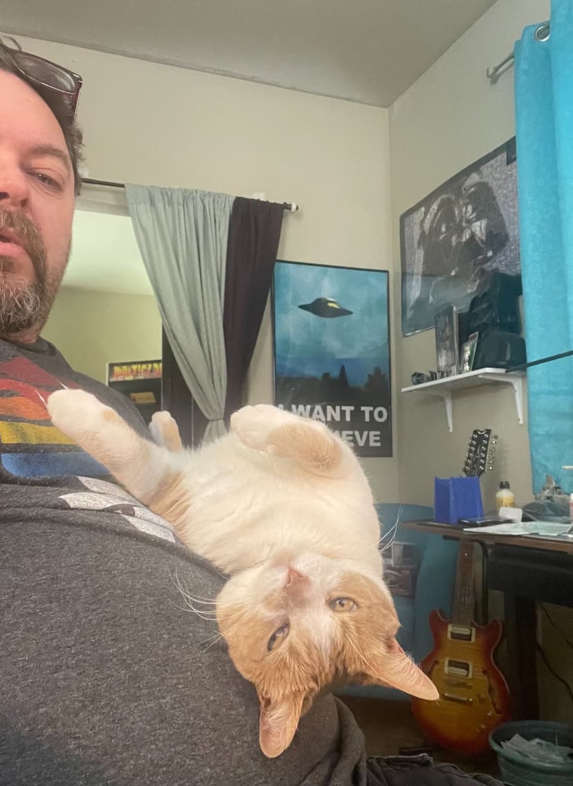 Cream and orange cat lying upside down against a man's chest, paws in the air, with a UFO poster and guitar in the background.